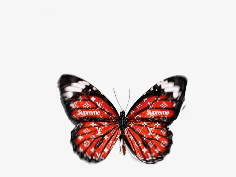 Mariposa, Overlay, And Png Image - Dreams Huatulco, transparent png download
