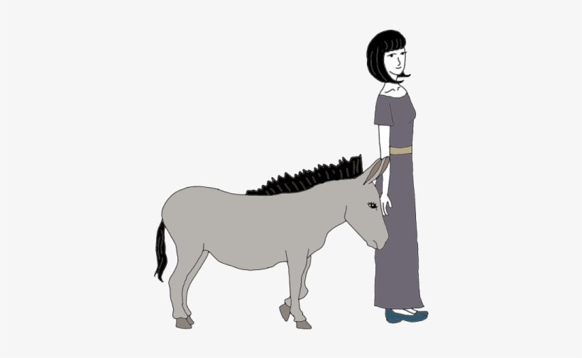Donkey - Mule, transparent png download