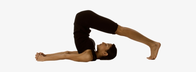 Yoga Png - Asanas Yoga Png, transparent png download