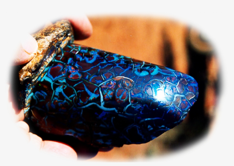 Early History Of Queensland Boulder Opal - Egg Decorating, transparent png download