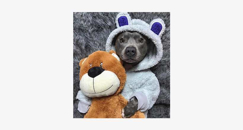 Sleepy - Sleep, transparent png download