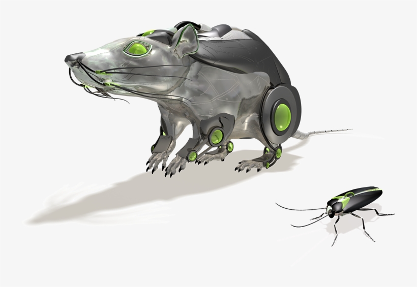 Cockroack-rodent - Leaf Beetle, transparent png download