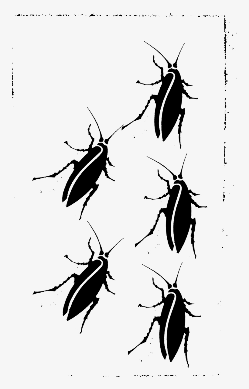 Quizá El Autor De Street Art Cuya Obra Más Nos Suene, - Weevil, transparent png download