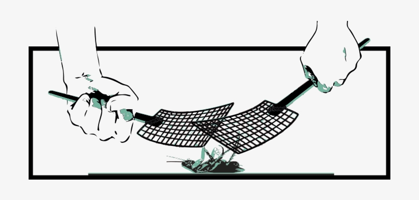 Cucarachas Características Y Como Matarlas - Pest Control, transparent png download