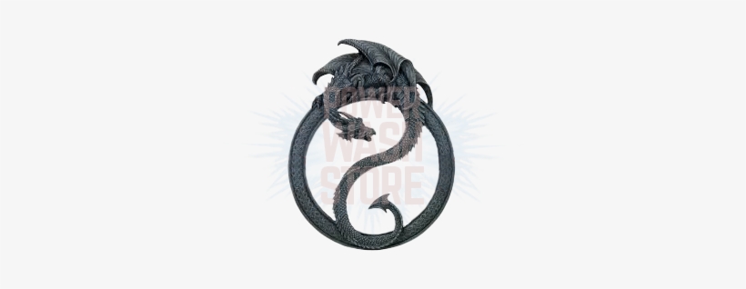 Dragon Tail 100' Black Non Marking 4700psi Hose - Dragon Mirror, transparent png download