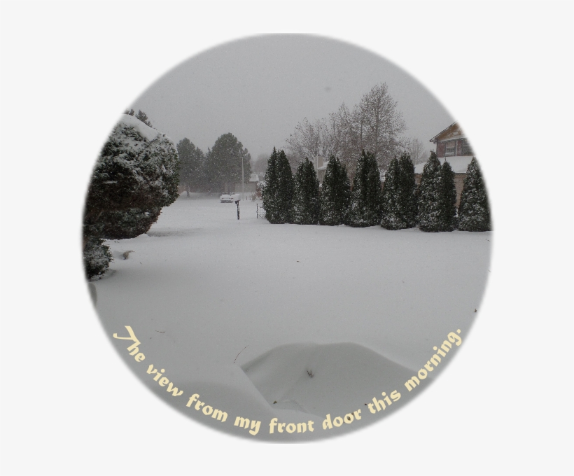 While The Snowfall In Most Of Our Driveway Was No Higher - 13 Anos, transparent png download