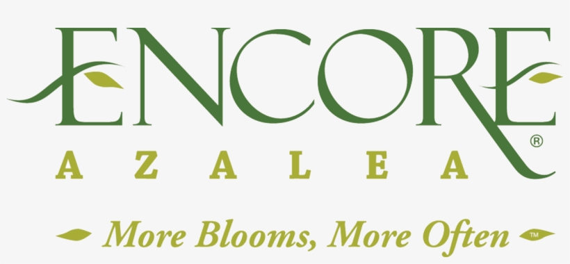 All Encore Azaleas Have Beautiful Flowers, I Have Always - Encore Azalea Logo, transparent png download