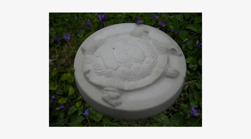 Grass, transparent png download