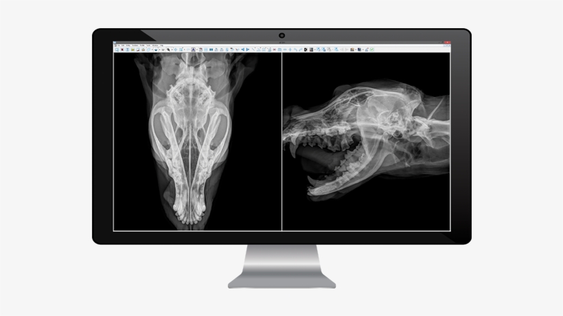 Cloud & Pacs Systems - Medicine, transparent png download