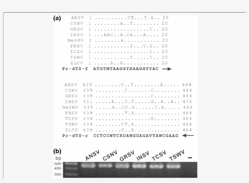 Download - Fig.1, transparent png download