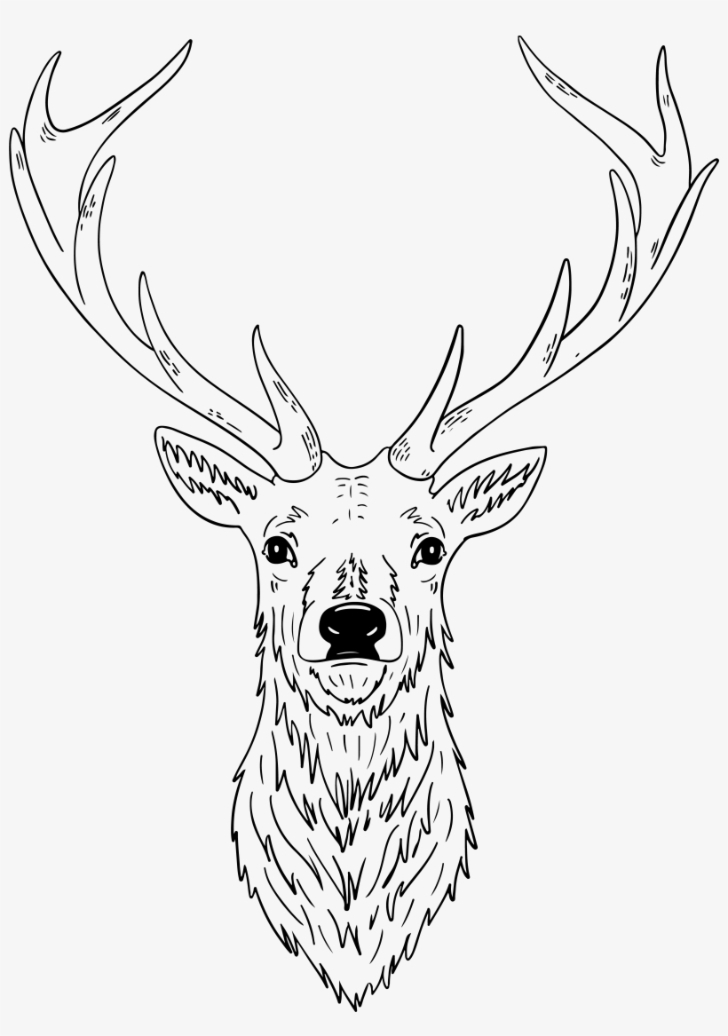 Kings Chapel, transparent png download