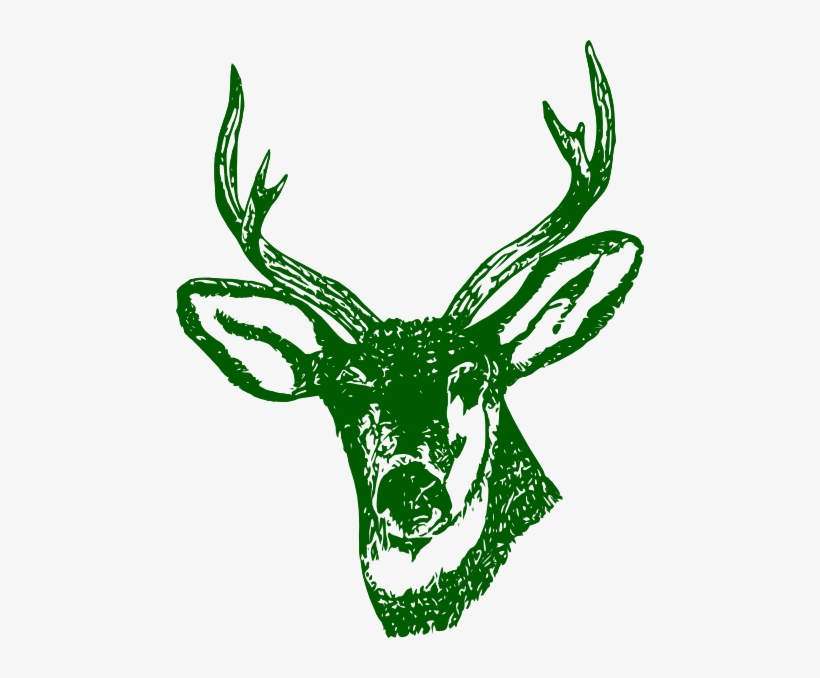 How To Set Use Green Stag Head Clipart - Green Deer Png, transparent png download