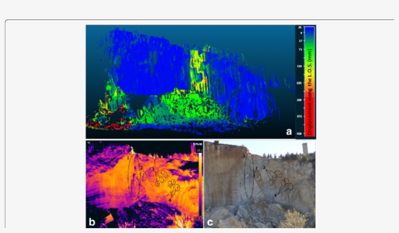 Gbinsar And Tls Data Integration - Common Fig, transparent png download