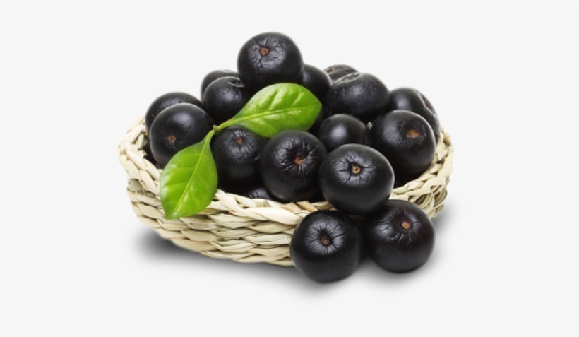 Organic Acai Fruta Acai Em Png Png Image Transparent Png Free Download On Seekpng