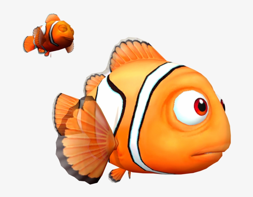 Download Zip Archive - Coral Reef Fish, transparent png download