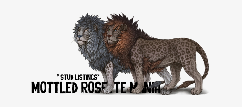 To Keep Things Organized And Easier To Navigate, This - Mania, transparent png download