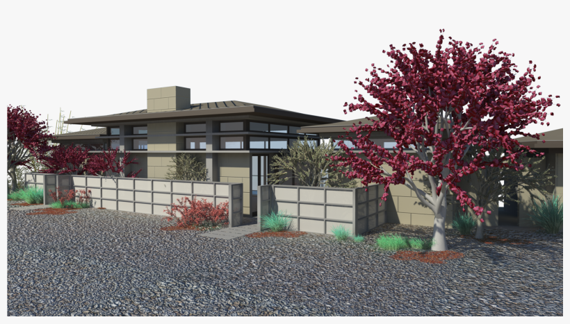 Hollywood Hills, California In Progress - Tree, transparent png download