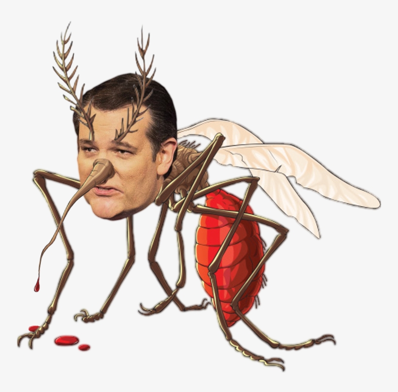 Mosquito Face Insect Nose Invertebrate Head Fictional - Ted Cruz Meme Transparent, transparent png download