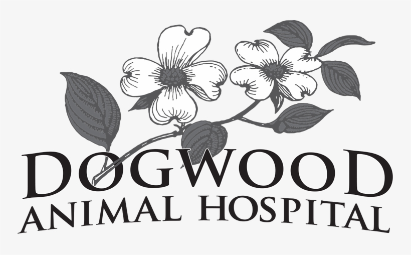 Dogwood Animal Hospital, transparent png download