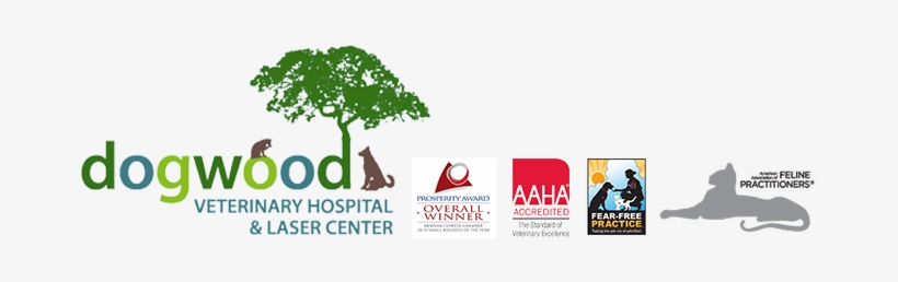 Call Us Today - Dogwood Veterinary Hospital And Laser Center, transparent png download