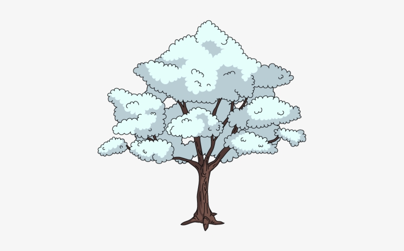 Dogwood Tree - Illustration, transparent png download