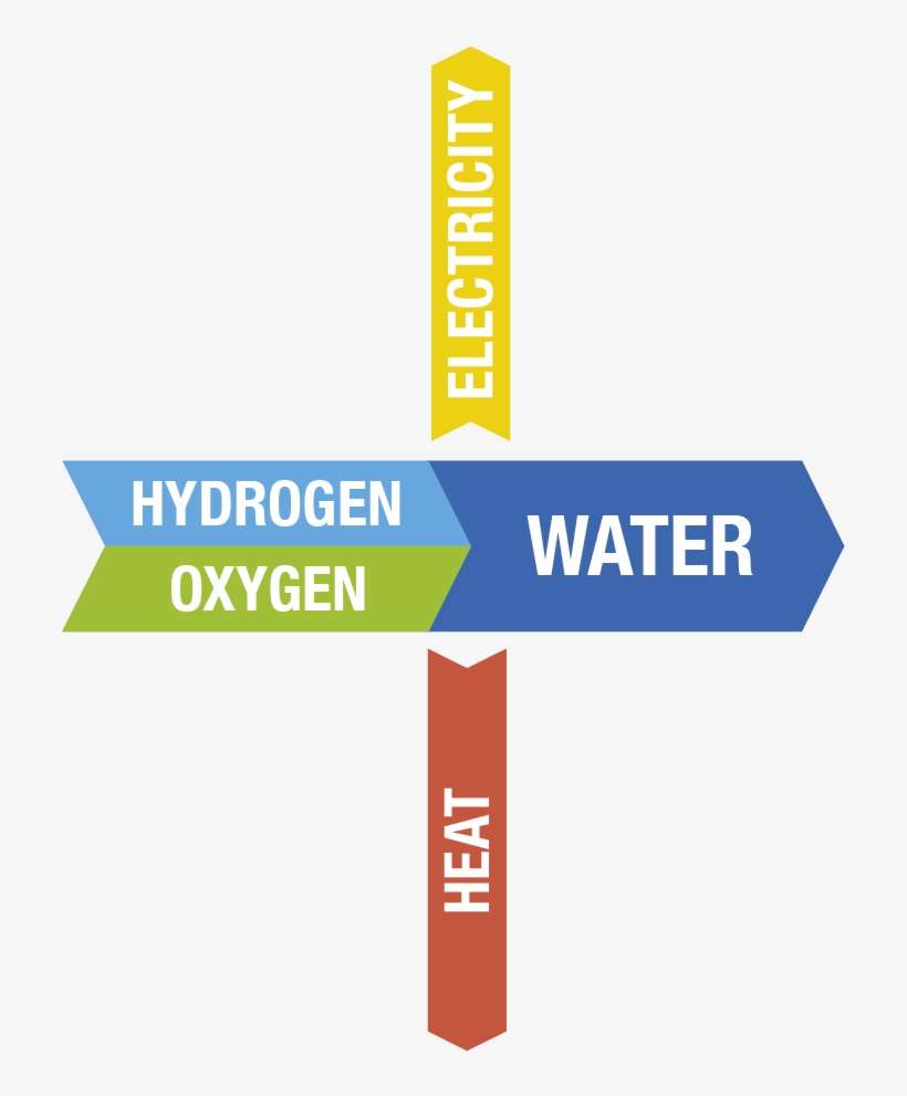 Hydrogen Is Fed To The Anode Where Catalysis Releases - Graphic Design, transparent png download