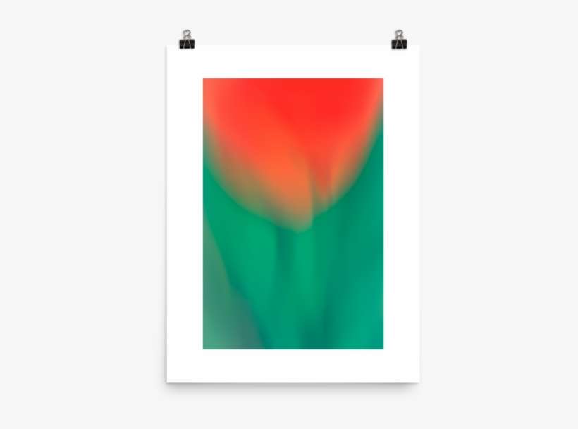 Tulip Motion Blur - Aurora, transparent png download