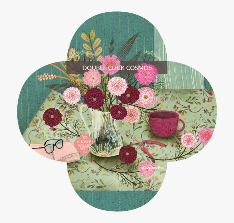 Thompson & Morgan Cosmos Double Click, transparent png download