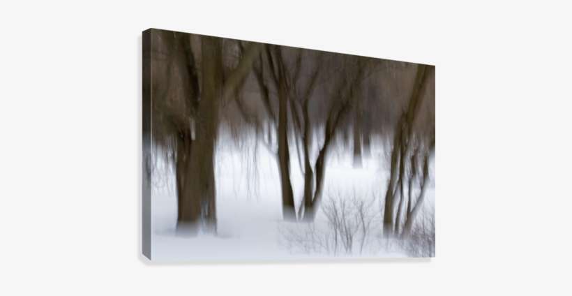 Motion Blur Of Trees - Motion Blur Of Trees; Quebec, Canada Poster, transparent png download