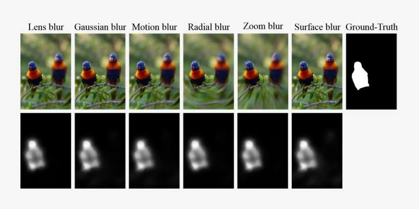 Visual Results Of Our Proposed Method On Images With - Insect, transparent png download