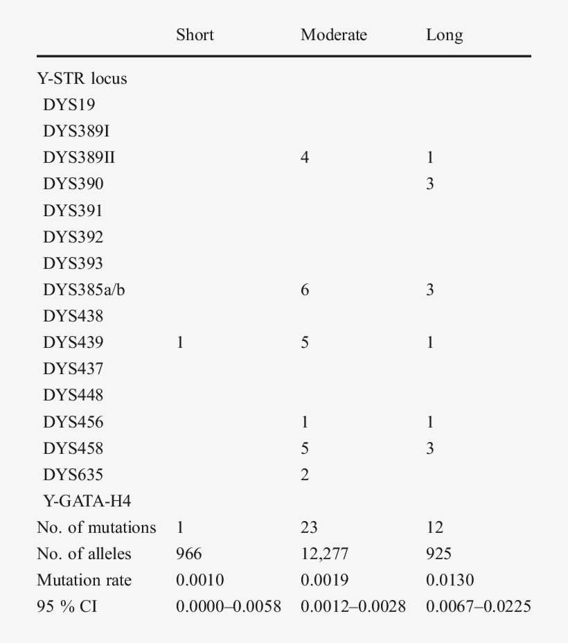 Mutation Counts And Rates By Allele Repeat Size - Patient, transparent png download