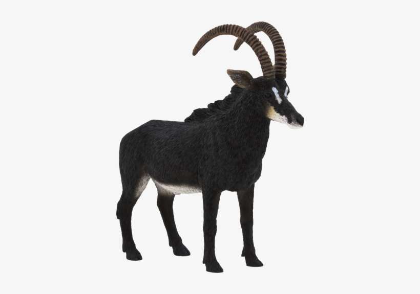 Giant Sable Antelope - Sable Antelope Toy, transparent png download