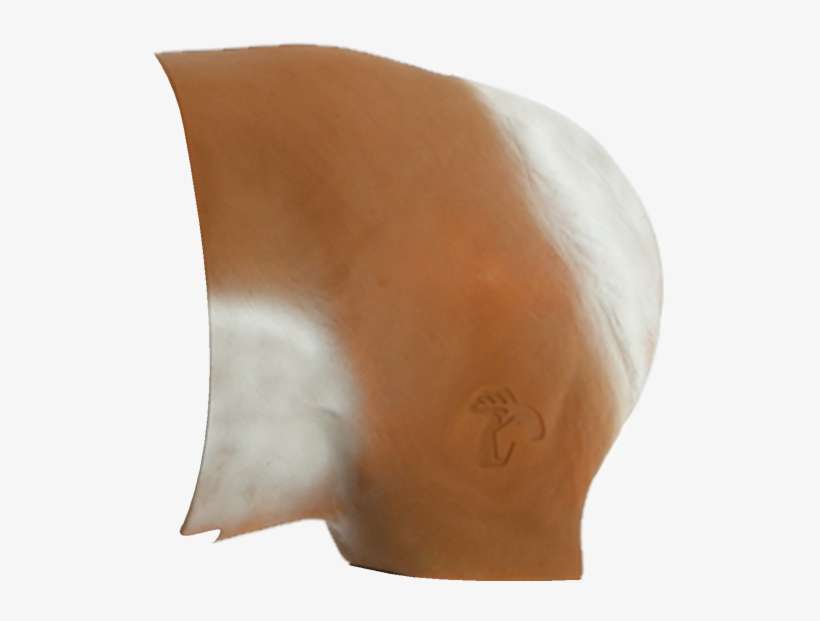 Pronghorn Antelope Archery Target Replacement Rear - Sculpture, transparent png download