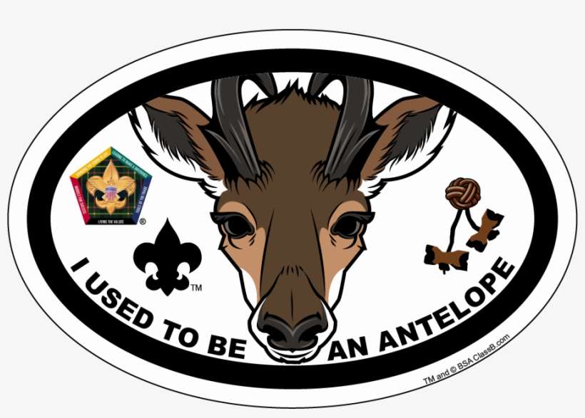 Image - Boy Scouts Of America, transparent png download