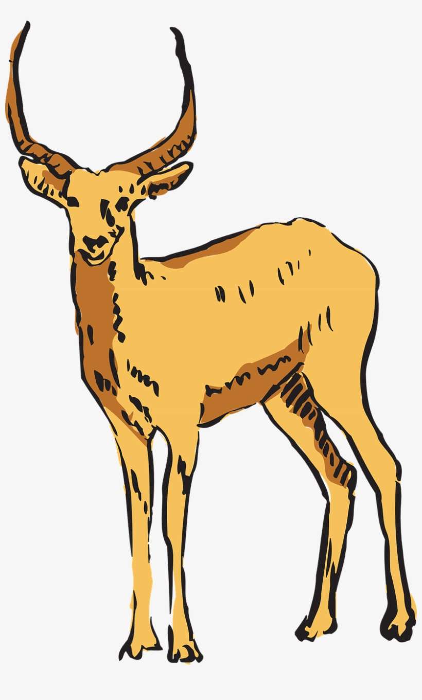 Forest, Antelope, Forest, Standing, Horns - Antelope Clipart Transparent, transparent png download