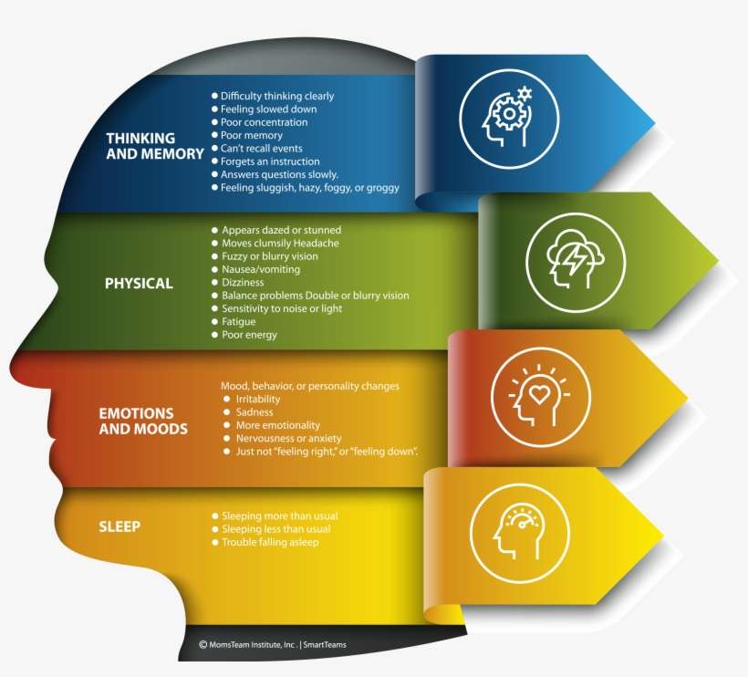 Download - Png - Momsteam Institute, Inc., transparent png download