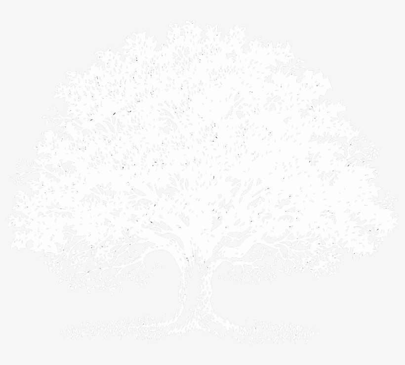 Black - Celebration Of Life Announcement, transparent png download