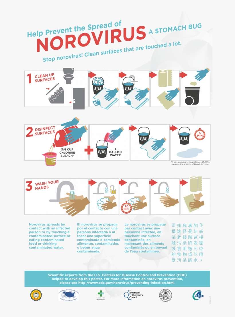 Norovirus Prevention Poster Disinfectants PNG Image Transparent PNG