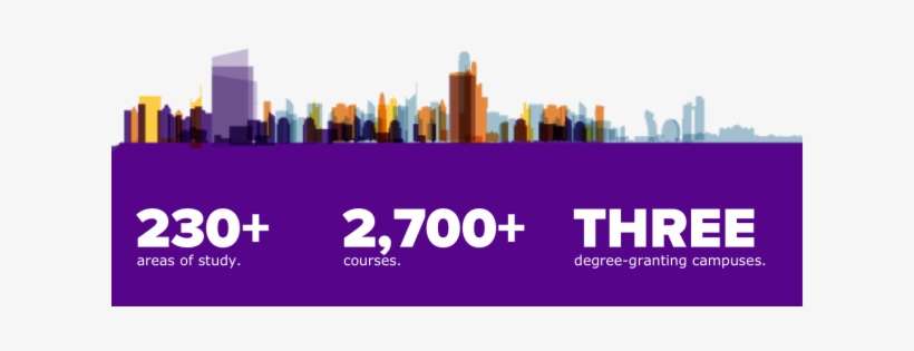 Nyu - - Nyu Admissions, transparent png download