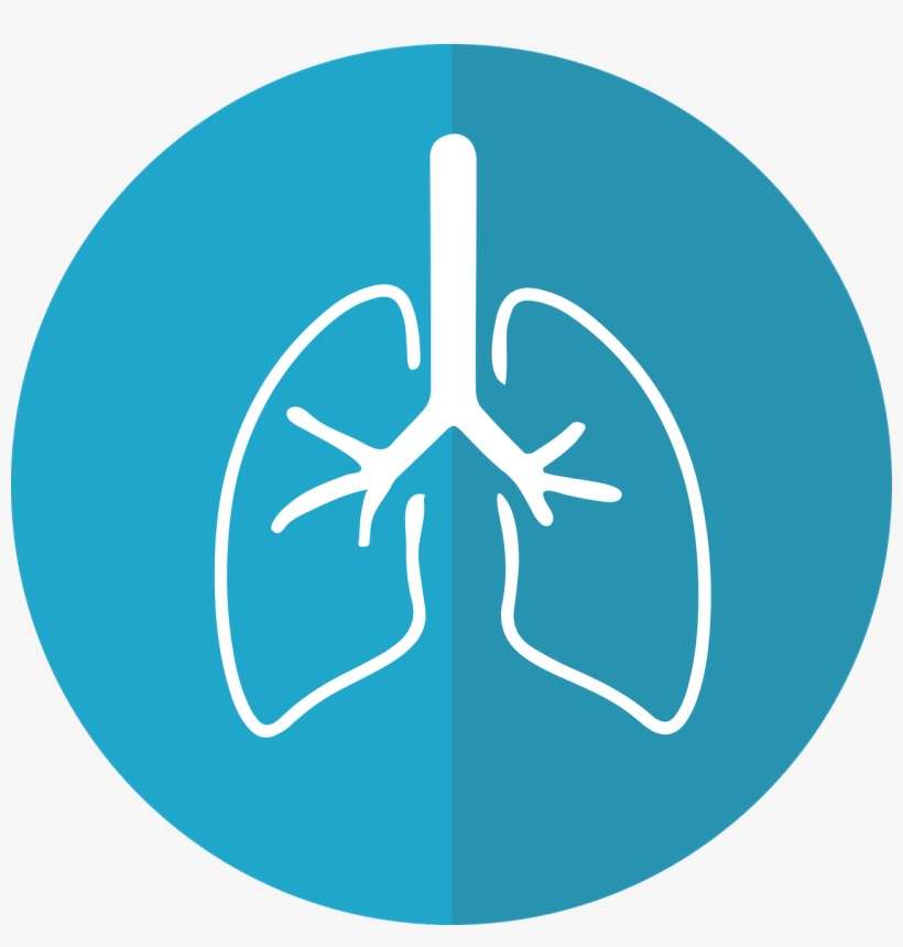 Bronchitis Vs Pneumonia Lungs Icon - Scales Of Justice Caduceus, transparent png download