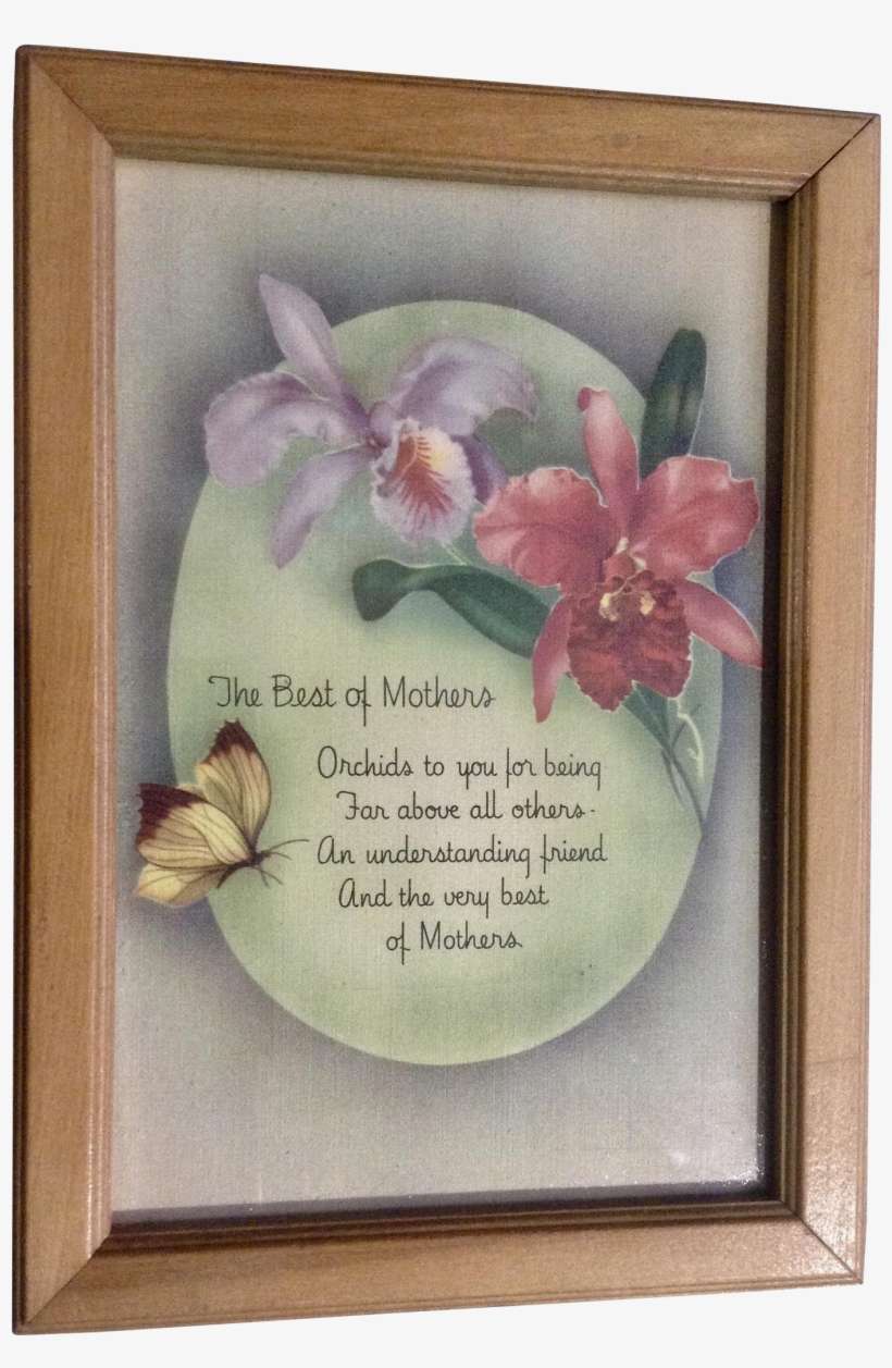Vintage 1940's Best Of Mothers Poem Floral Print Picture - Moth Orchid, transparent png download