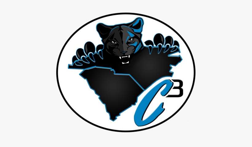 @jayray19 Aka Justin R - Carolina Panthers, transparent png download