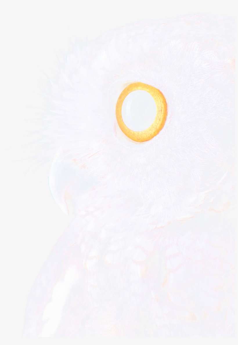 Here Ya Go - Incipio Octane Pure Transparent Folio For Surface Pro, transparent png download