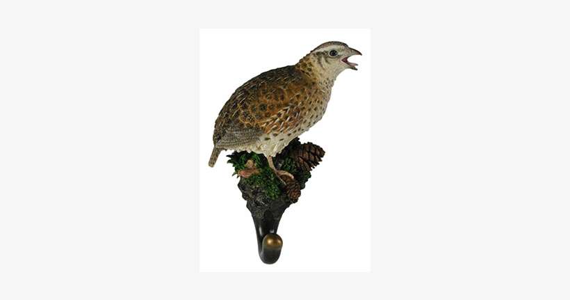 Bobwhite Quail Hook - Ruffed Grouse, transparent png download