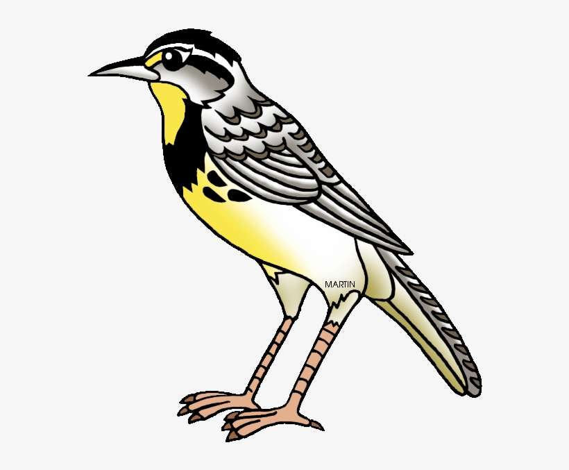 Top 92 Lark Clip Art Kansas State Bird Clipart PNG Image