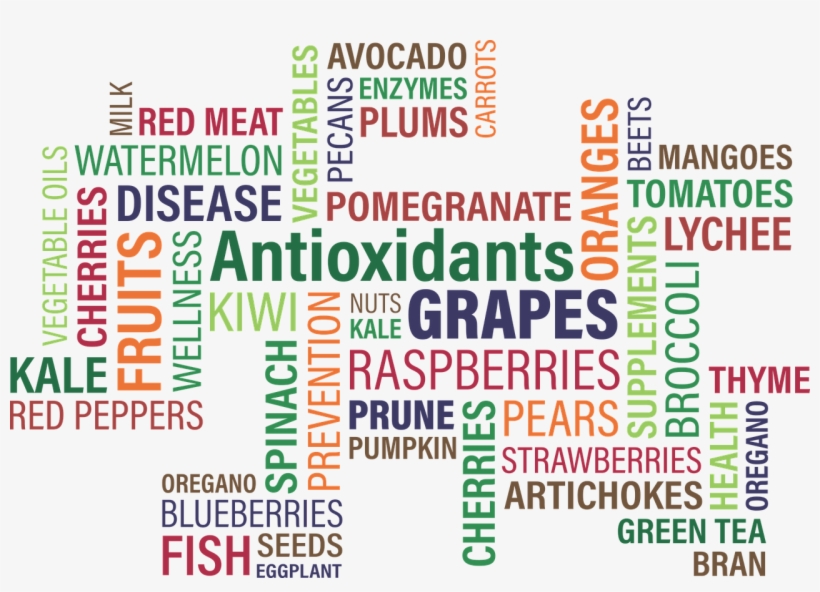 Everyone Wants To Grow Old Gracefully - Antioxidant, transparent png download