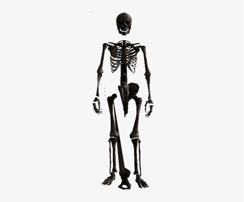 Skeleton - Fallout New Vegas Skeleton, transparent png download