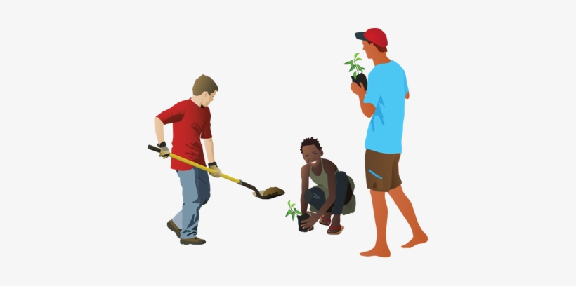 Ian Symbol Restoration Trio - Plant A Tree Png, transparent png download