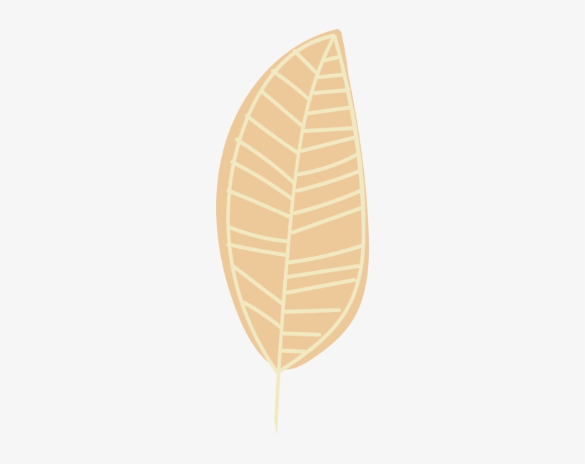 Gym Web Elements-leaf Two - Illustration, transparent png download