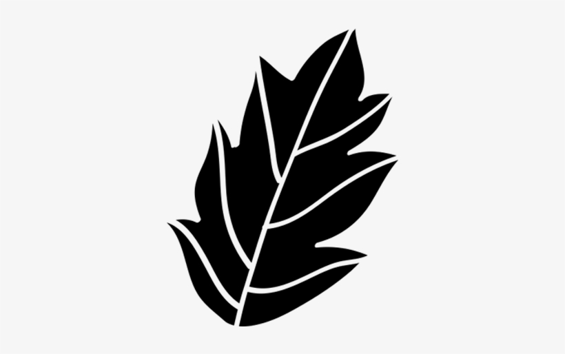 Planting Services - The View, transparent png download